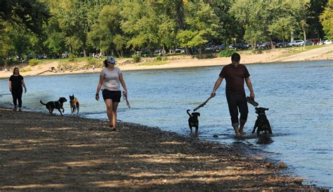 downtown dogs minneapolis|The 10 Best Dog Parks in the United States .